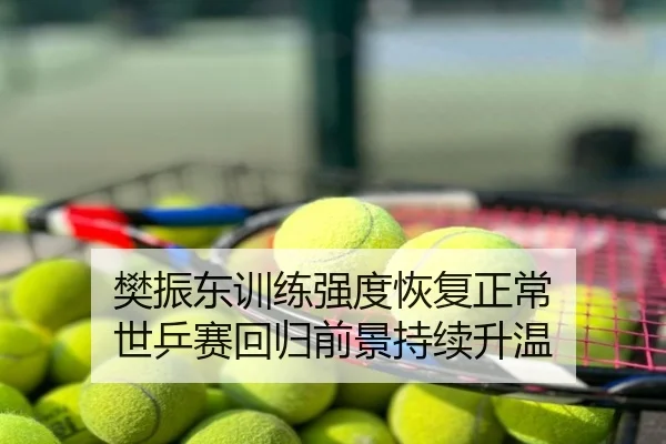 樊振东训练强度恢复正常 世乒赛回归前景持续升温
