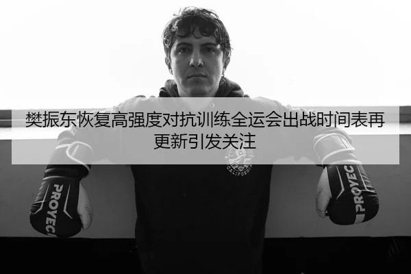 樊振东恢复高强度对抗训练全运会出战时间表再更新引发关注